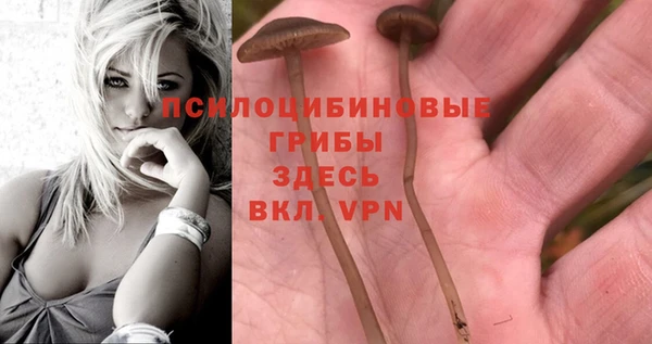 ГАЛЛЮЦИНОГЕННЫЕ ГРИБЫ Надым