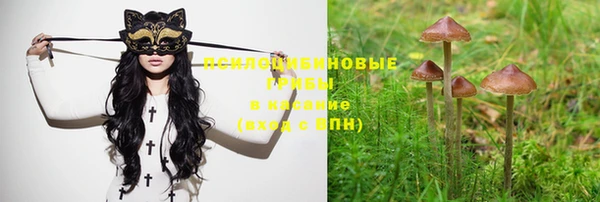 ГАЛЛЮЦИНОГЕННЫЕ ГРИБЫ Надым