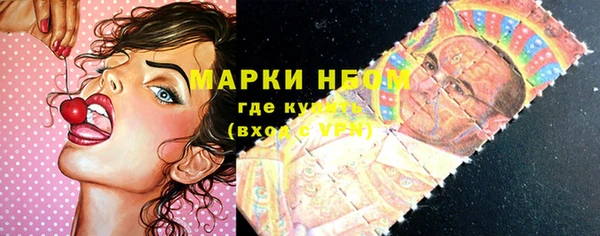 ГАЛЛЮЦИНОГЕННЫЕ ГРИБЫ Надым