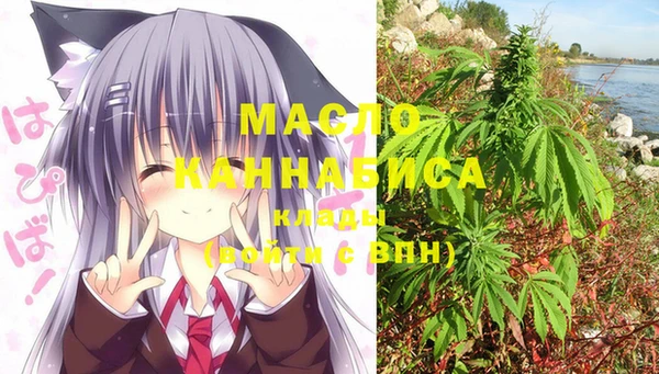 молекула духа Абинск